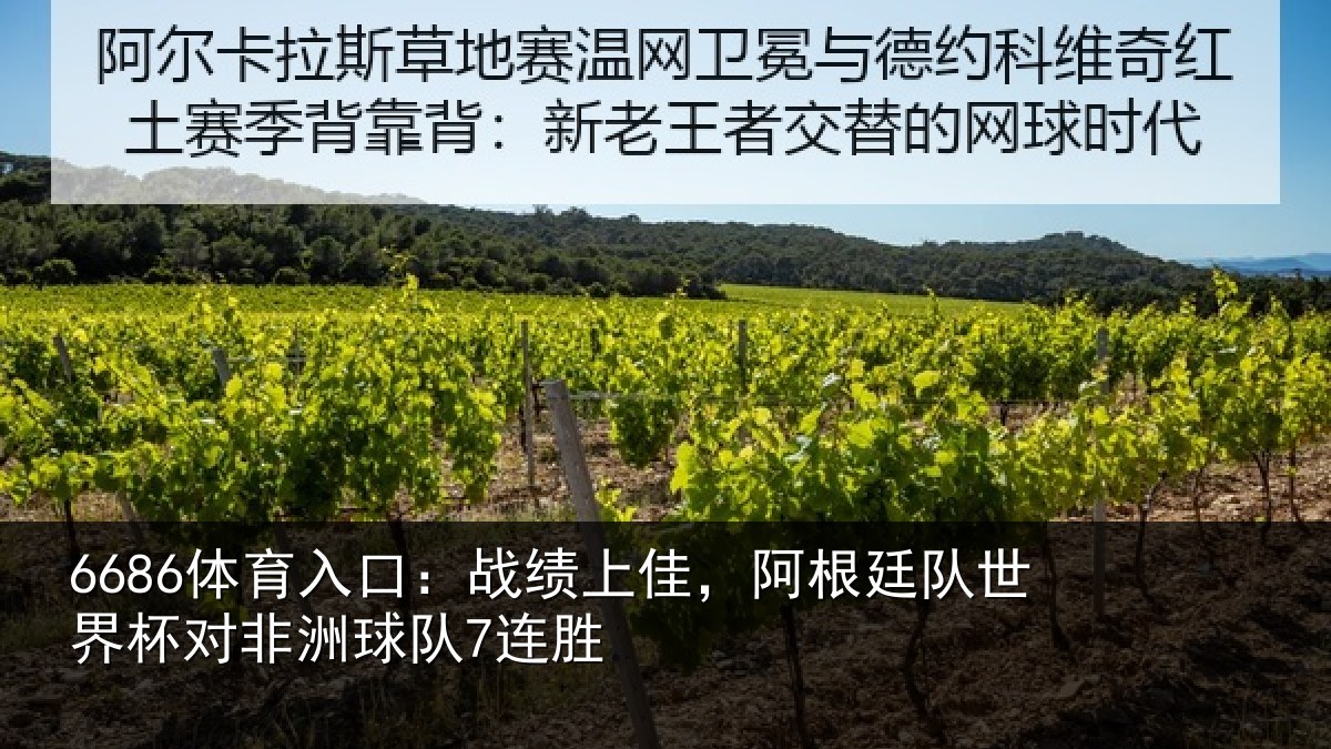 6686体育入口：战绩相关情况杯对非洲球队7连胜