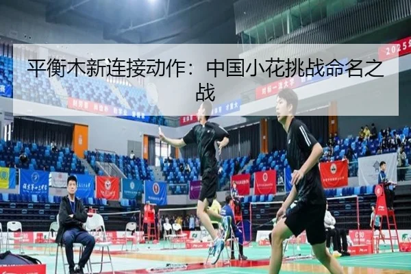ping-heng-mu-xin-lian-jie-dong-zuo-zhong-guo-xiao-hua-tiao-zhan-ming-ming-zhi-zhan-3-411.jpg