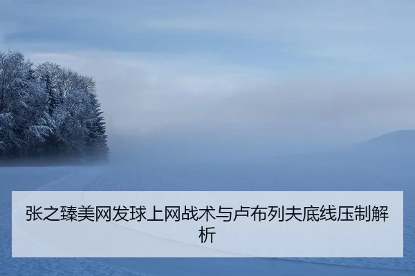 zhang-zhi-zhen-mei-wang-fa-qiu-shang-wang-zhan-shu-yu-lu-bu-lie-fu-di-xian-ya-zhi-jie-xi-2-547.jpg