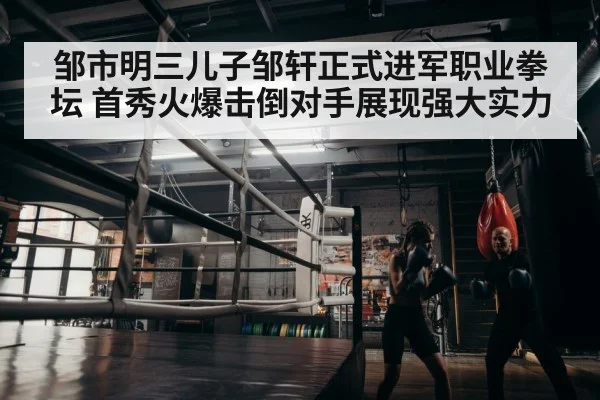 boxer training