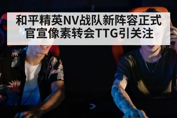 和平精英NV战队新阵容正式官宣像素转会TTG引关注